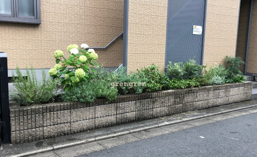 アパート植栽剪定