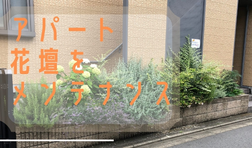 アパート植栽管理