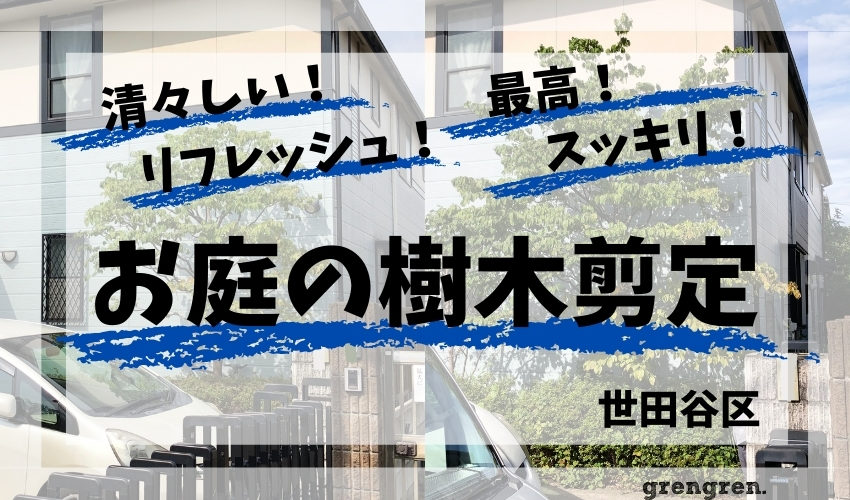 世田谷区の個人邸での樹木剪定と草刈り