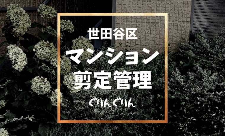 世田谷区のマンションで一ヶ月に一回剪定管理している花壇にアジュガを植栽