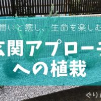 玄関アプローチへの植栽