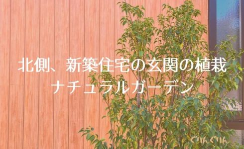 世田谷区・新築住宅の北向き花壇づくりのサムネイル