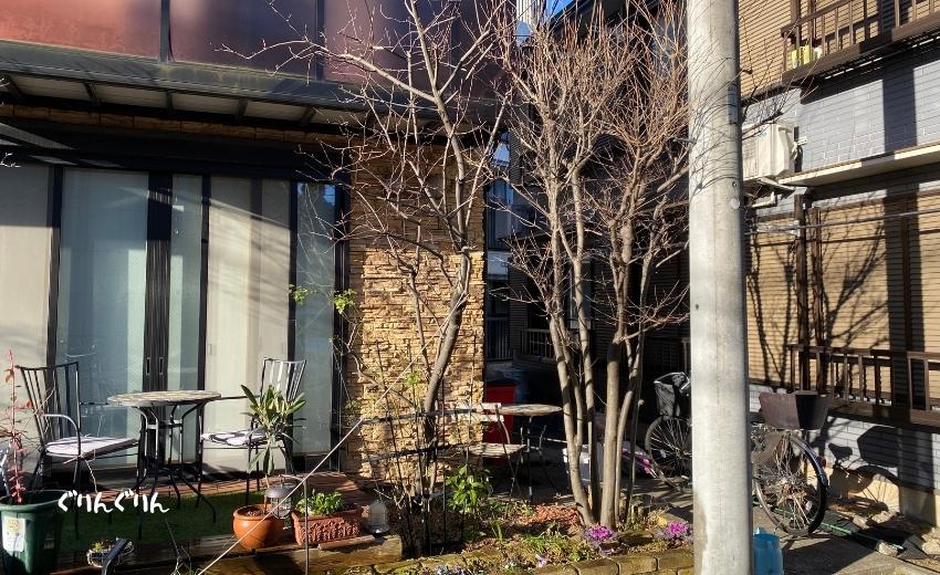18年物の落葉ヤマボウシがある世田谷区の個人邸の花壇