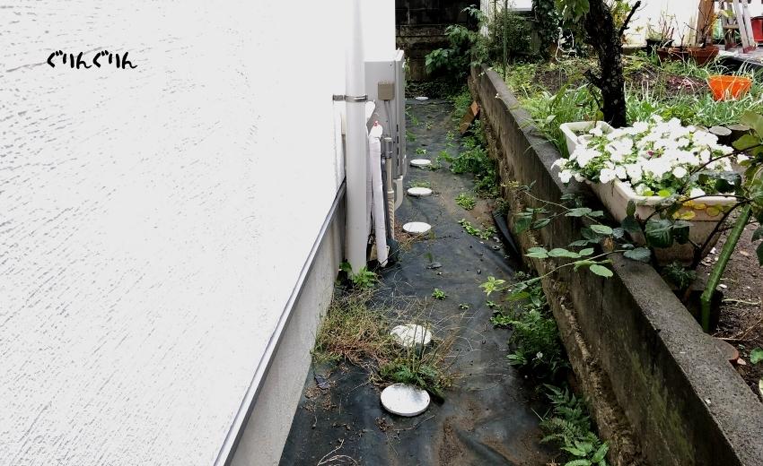 木更津市の新築住宅の犬走に敷かれた防草シート