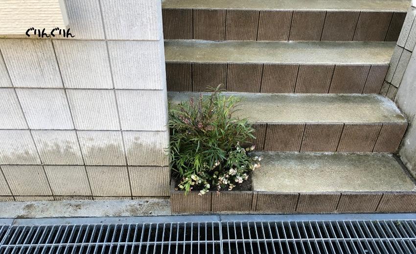 階段したの小さなスペースにも植栽した木更津市の新築住宅のお庭づくり