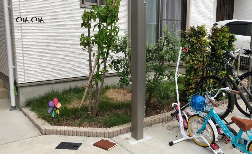 伸びきった芝生と一部枯れた樹木の使われていないお庭