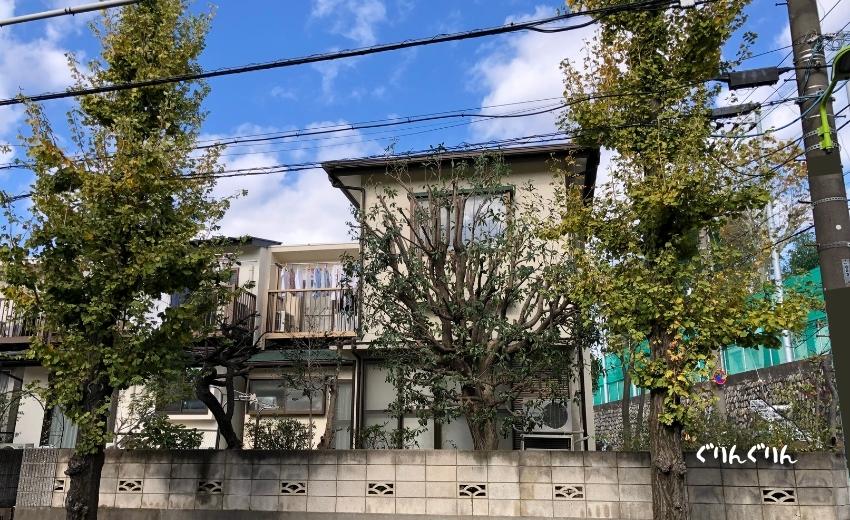 常緑樹の秋冬の剪定が終わった世田谷区の個人邸のお庭