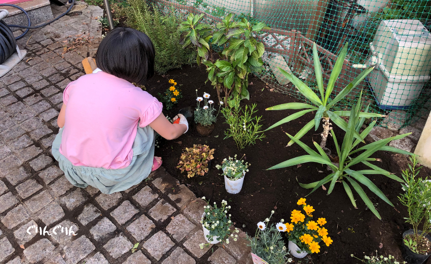 ご自宅の花壇に植物を植えこむ子供