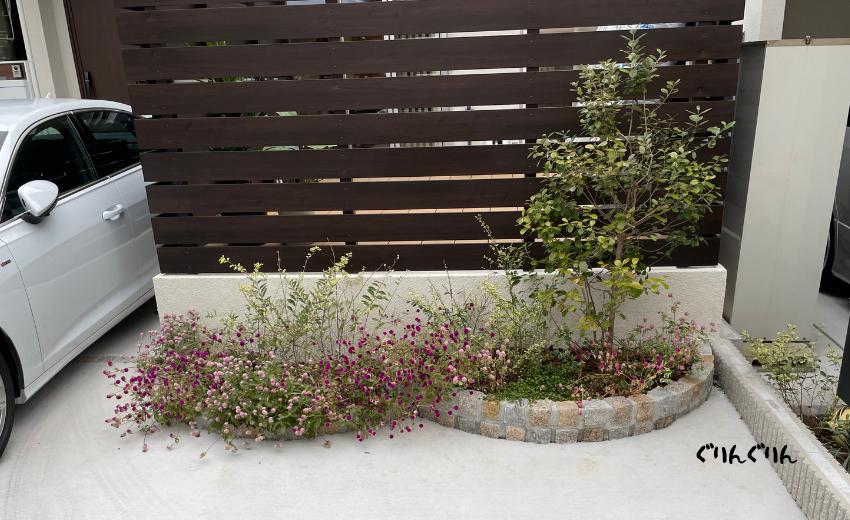 夏の植物が植えこまれた荒れた新築住宅の花壇