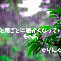 雨に降られている植物