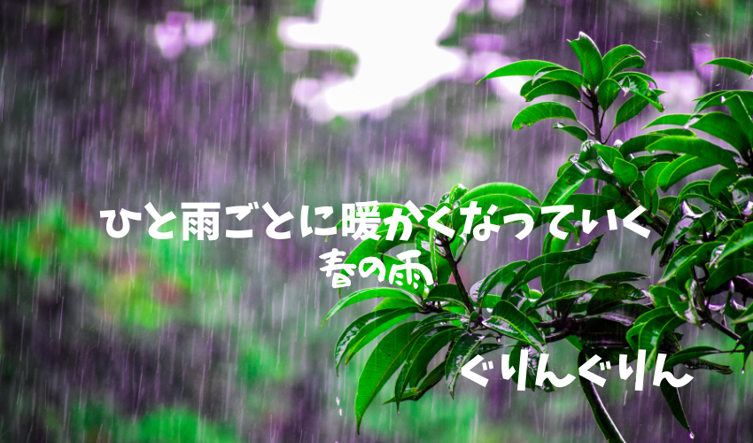 雨に降られている植物