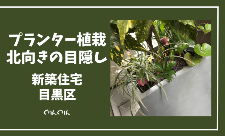 目黒区の新築住宅で施工した北向きプランター植栽