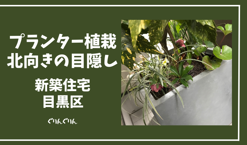 北向き 日陰のプランター植栽 彩りがある生活 目黒区 新築住宅