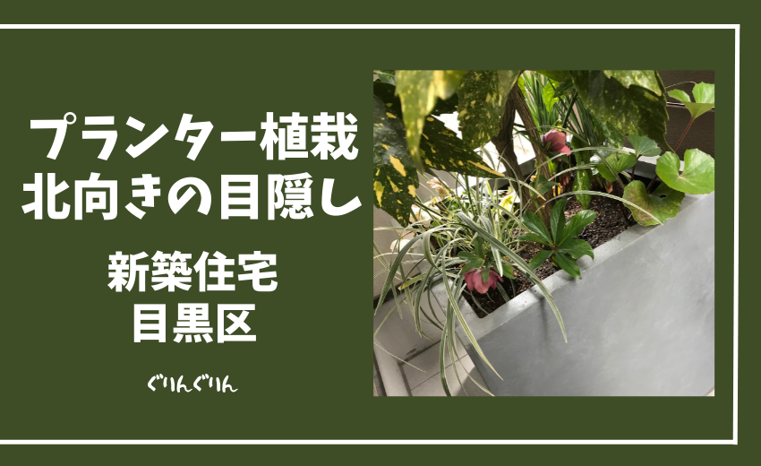 北向き 日陰のプランター植栽 彩りがある生活 目黒区 新築住宅