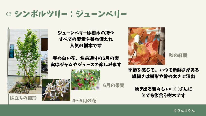 吉祥寺の新築住宅のシンボルツリー植栽に選んだジューンベリーの資料