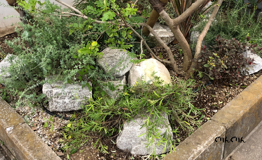 大き目の石材を使ったロックガーデンの庭づくり