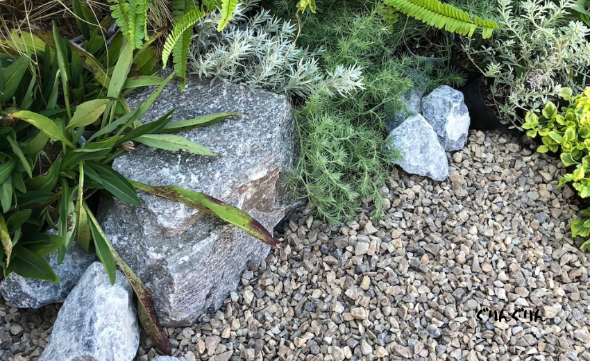 大きな自然石と植物との共存するナチュラルガーデンの庭づくり