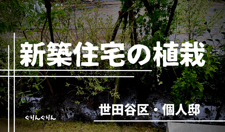 世田谷区で植栽を行った緑化条件に適した植栽作業