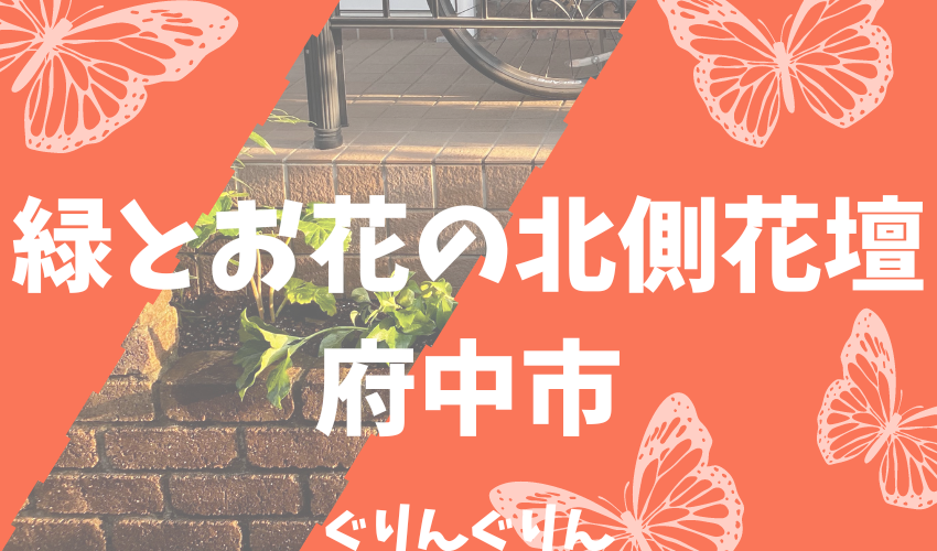 日影の中でも環境にあった植物を選択すれば育つ