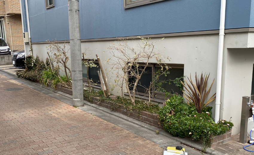 世田谷区で外壁を塗装しなおすために伐採された花壇の植物
