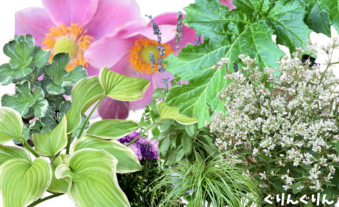 Indispensable basilic