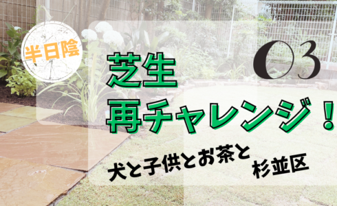 日陰の芝生の植え替えを実現した杉並区の個人邸
