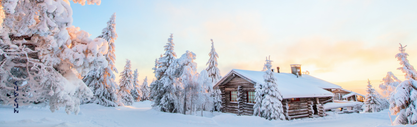 北欧の冬はほとんど雪が降り積もった雪景色で落葉樹は葉っぱが落ちて針葉樹が目立つ