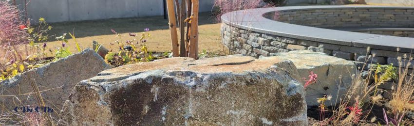 その地の石材と宿根草、球根、グラスを中心とした北欧の庭づくりの植物たち。そして落葉樹