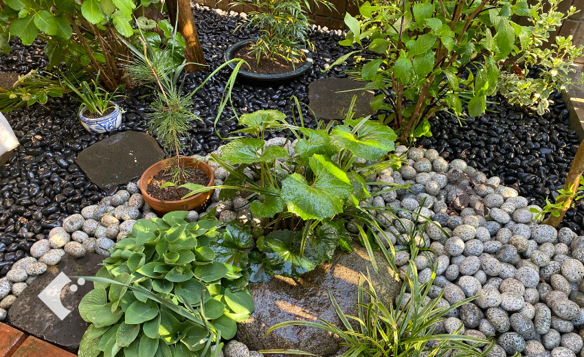 植物好きなお子さんが植物を植えやすような参加型の庭づくり