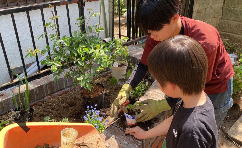 鉢植えをつくり植物を植える体験をする子供