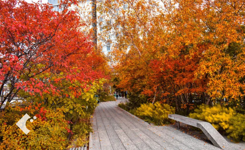 ニューヨークのハイラインの紅葉シーズン