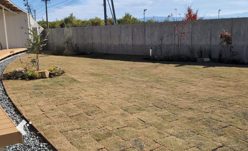 広い敷地の芝生の管理を楽にするためTM9の芝生を選択