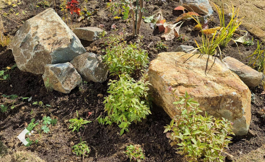 下草に宿根草と球根、グラスをメインとして植栽した長野の庭づくり