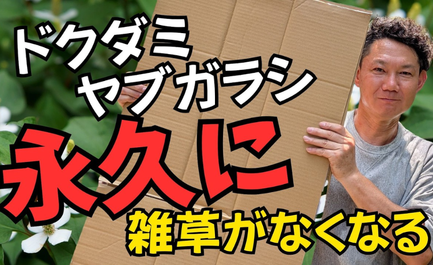 4月から雑草が増え始める中で、どうやってお庭の管理をしようかと悩んでいるかたにオススメの情報！ 段ボールで雑草対策