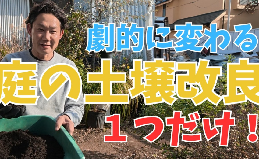 2月にやる庭の土づくりの方法