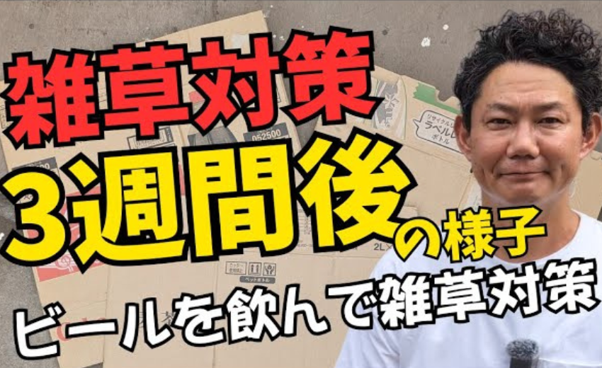 除草剤の効果検証動画