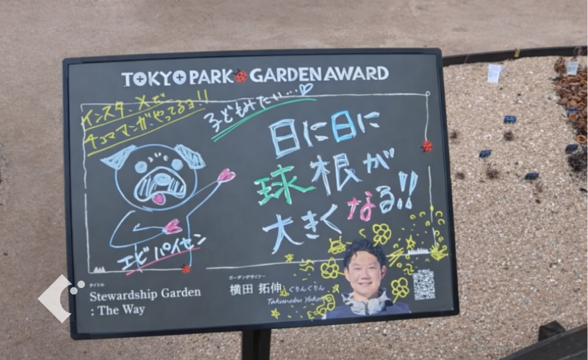 2月中旬の夢の島公園で、春の開花に向けてメンテナンスされた花壇の様子