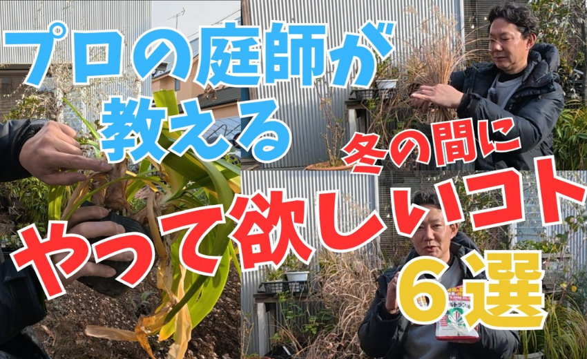 北欧の庭づくりのぐりんぐりんがいつもやってる冬の間にやっておく庭仕事