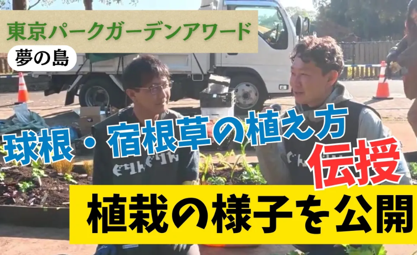 球根と宿根草の植え方解説動画