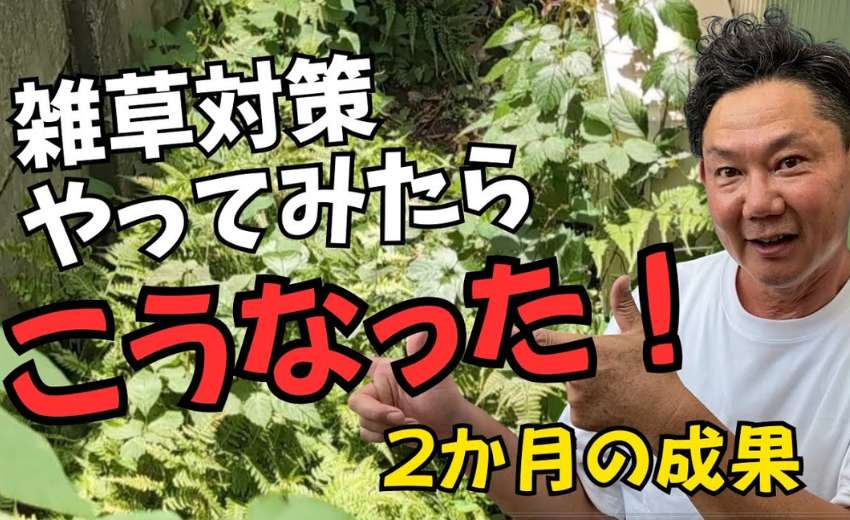 除草剤の効果実験動画