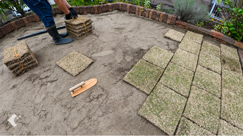 コテを使って地面の高さを微調整しながら芝生を並べる様子