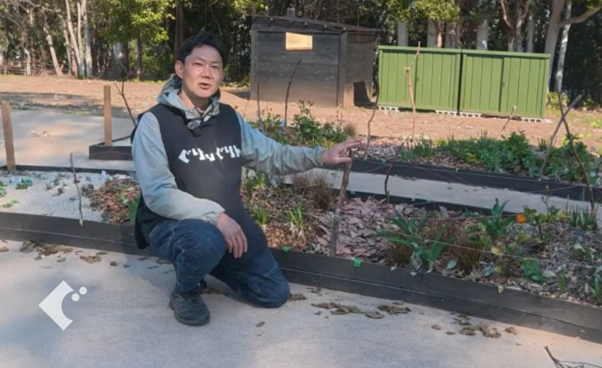まだ寒さが残る中、植物たちもゆっくり成長中、宿根草はまだ大きな成長はありません 植物管理は、枯れ葉の除去をメインでしています