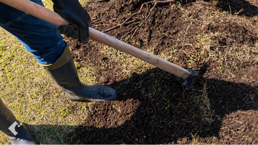 クワとスコップを使って既存の芝生を丁寧に剥がしていく様子