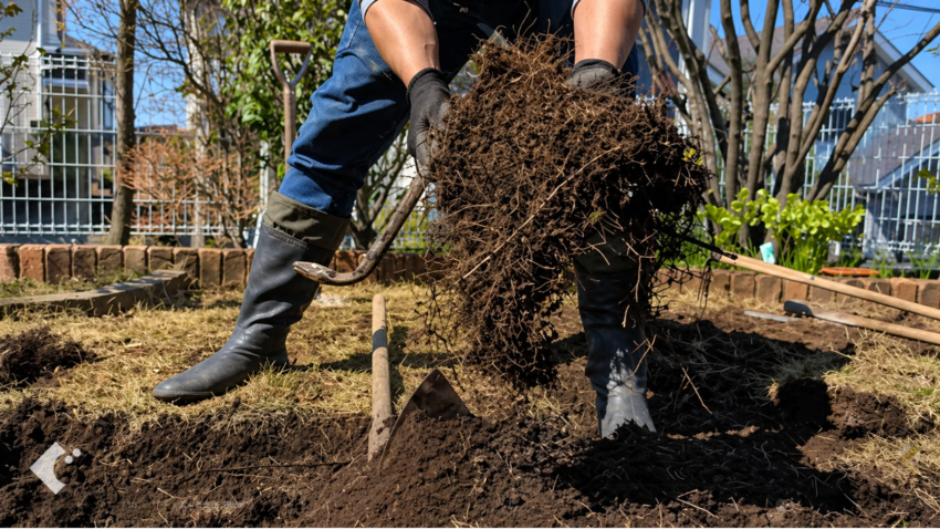 剥がした芝生を叩いて土を落とす作業。処分を楽にするための重要な工程