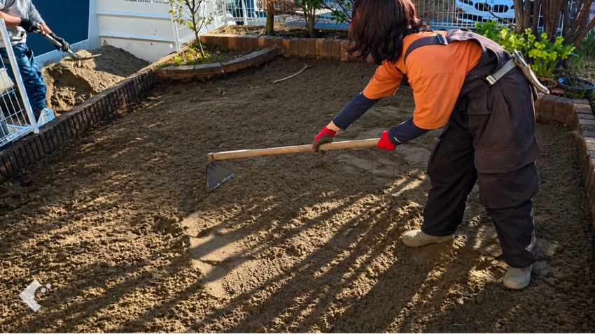  芝生を張るための下地として山砂を3〜4センチの厚さで敷く作業