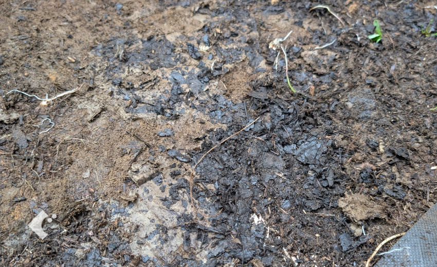 1年後に腐敗して土に還った段ボールの状態