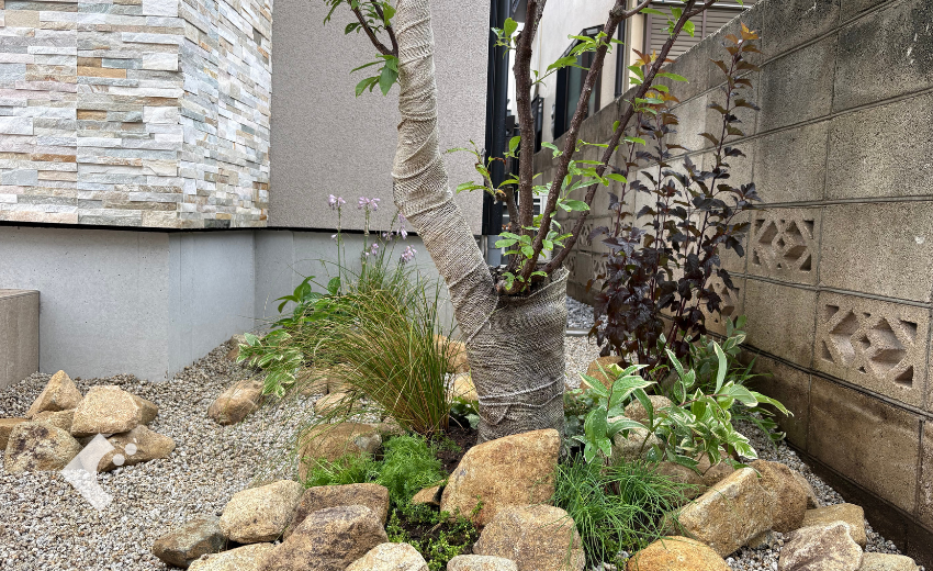 石とレイズドベッドで作った、スモモを中心とした植栽まわりのクローズアップ