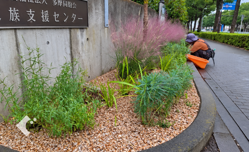 抜根後に生まれ変わった施設エントランスのローメンテ植栽